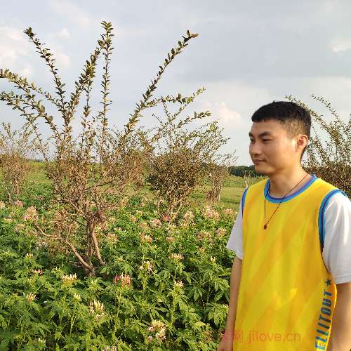 37岁岁广东单身帅哥 - 池州吉缘网